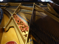 Musikinstrumenten-Museum (Kremsegg)